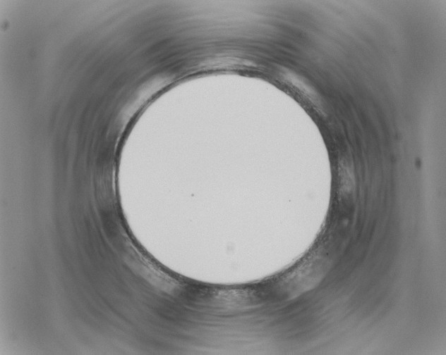 X0000077331322200611171757