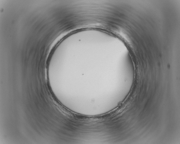 X0000077331324200611171757