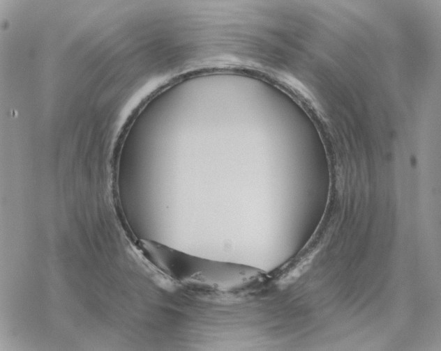 X0000077331326200611171758