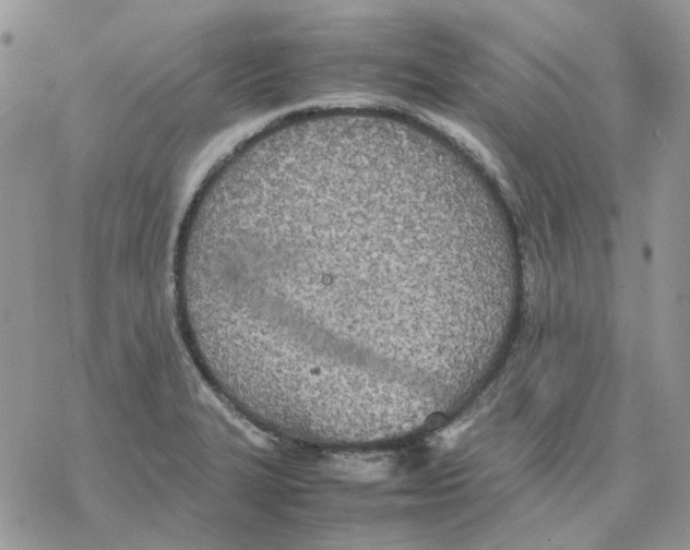 X0000077331327200611171758