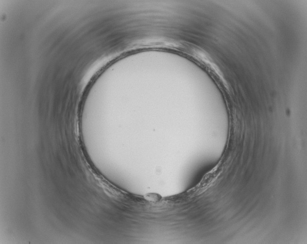 X0000077331328200611171758