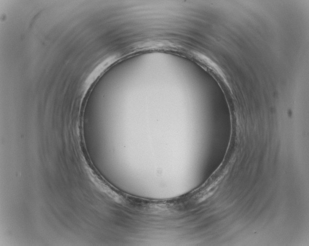 X0000077331330200611171758