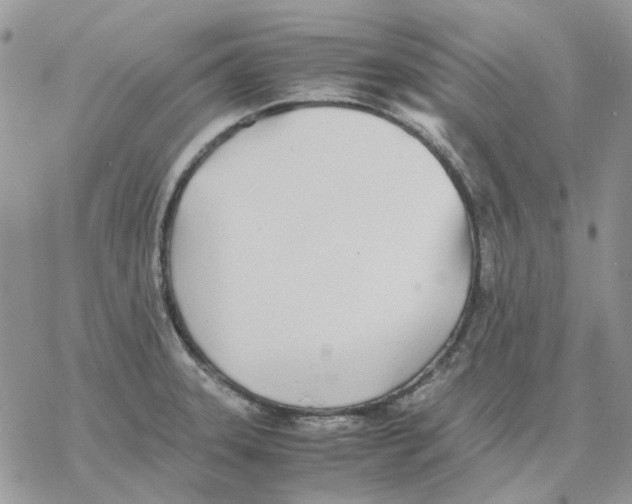 X0000077331331200611171758