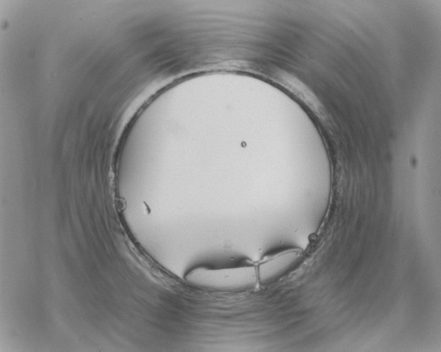 X0000077331332200611171758