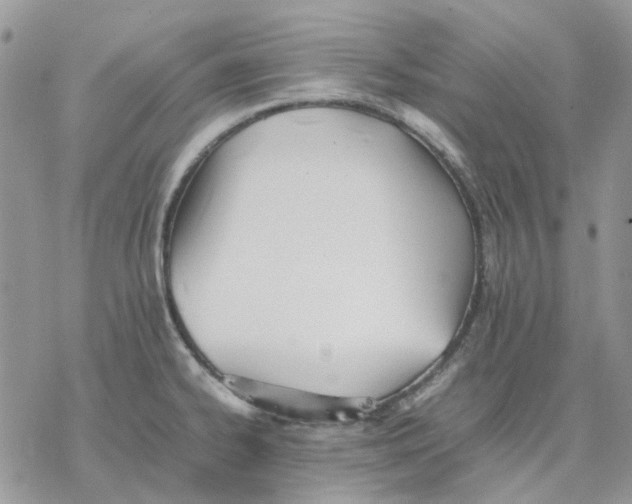 X0000077331334200611171758