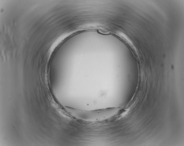 X0000077331336200611171758