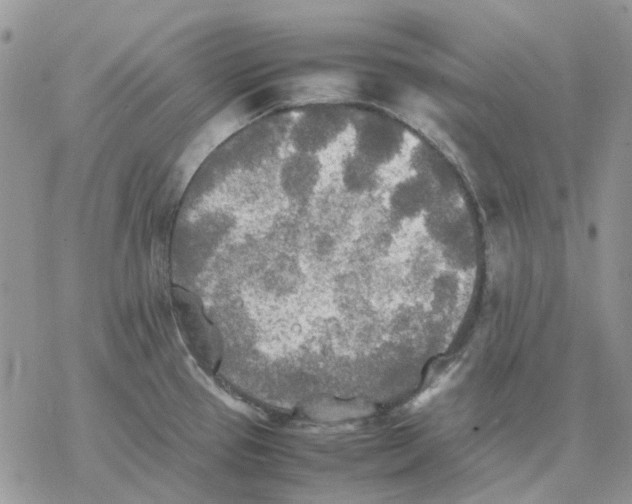 X0000077331337200611171758