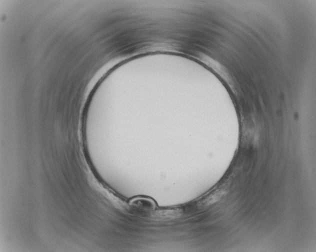 X0000077331339200611171758