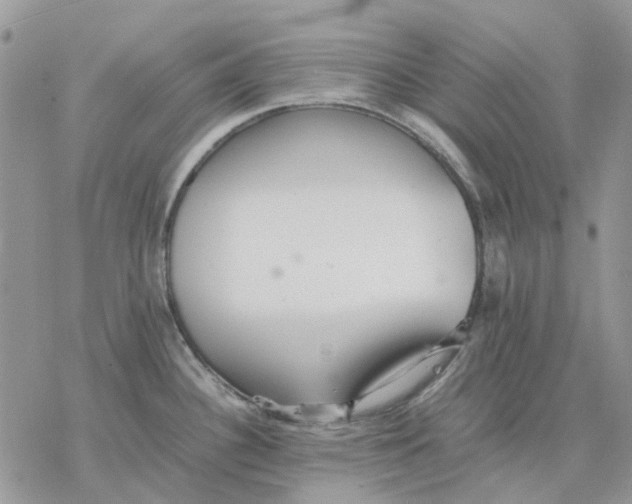 X0000077331340200611171758