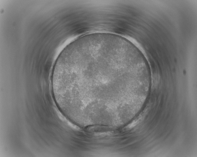 X0000077331341200611171758