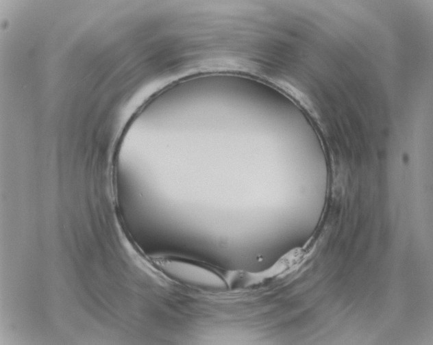 X0000077331342200611171758