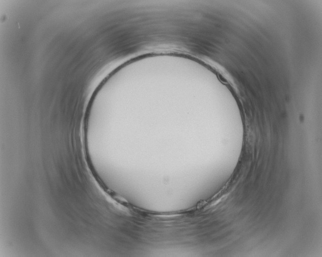 X0000077331343200611171758