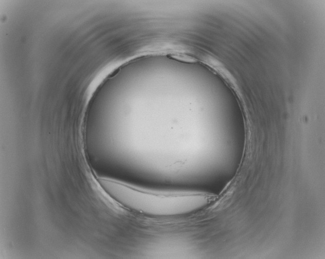 X0000077331344200611171758