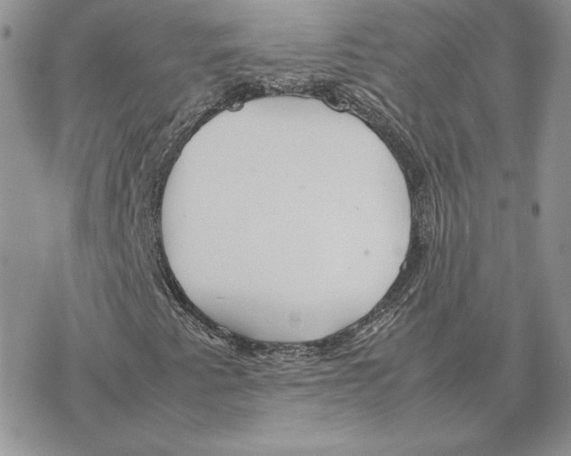 X0000077331345200611171757