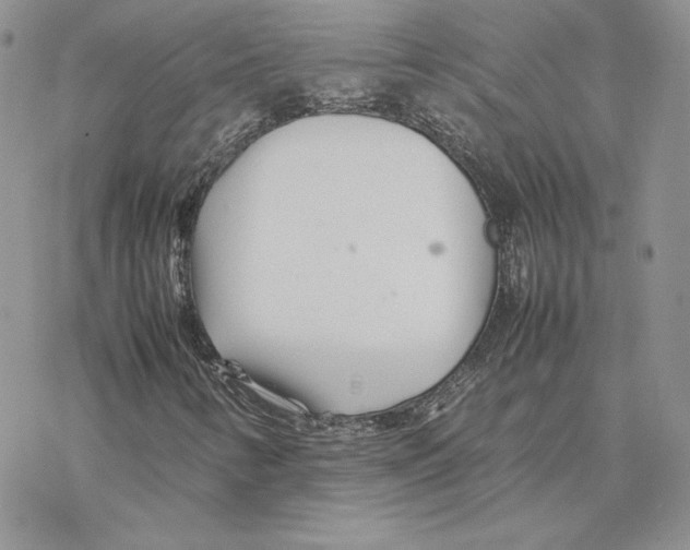 X0000077331346200611171757