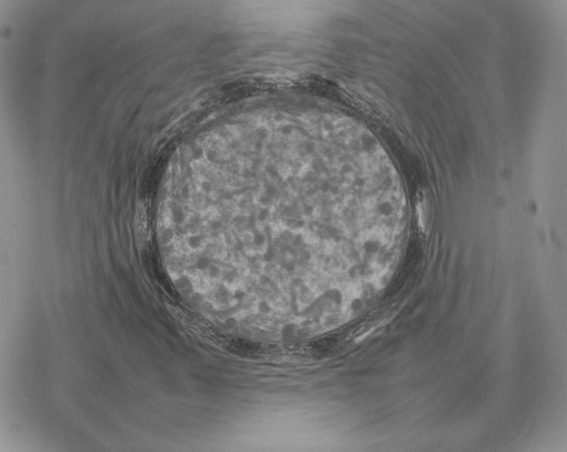 X0000077331347200611171757