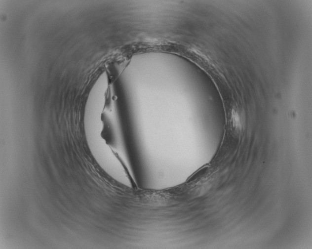 X0000077331348200611171757