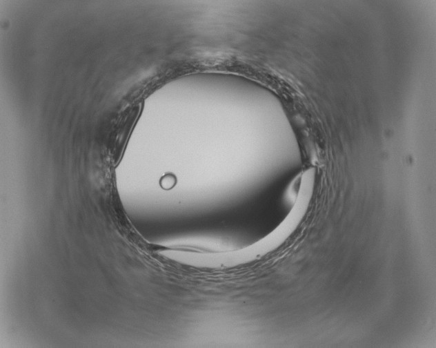 X0000077331349200611171757