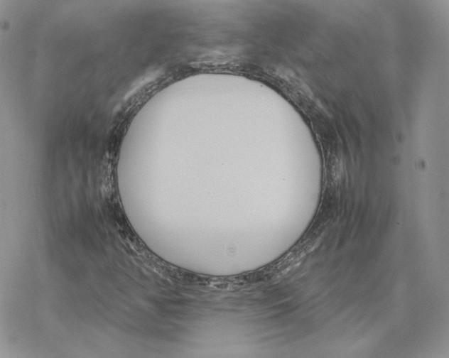 X0000077331350200611171757