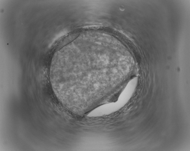 X0000077331351200611171757