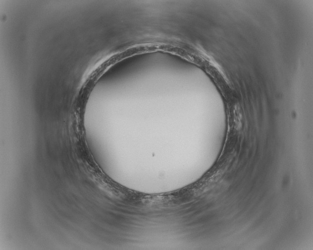 X0000077331352200611171757