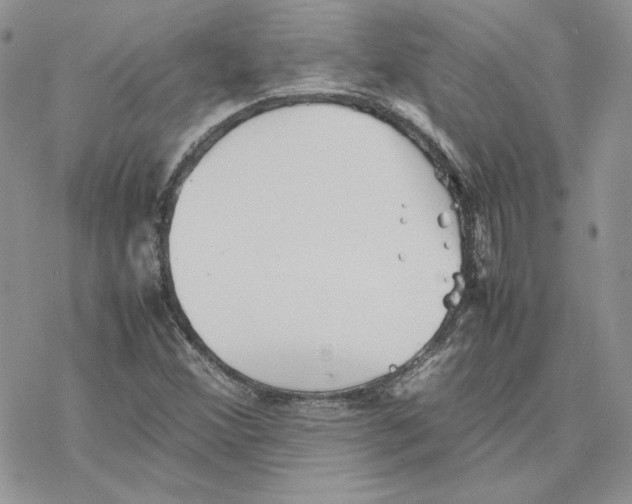 X0000077331356200611171757