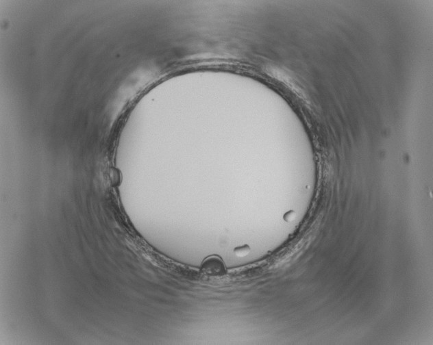 X0000077331357200611171757