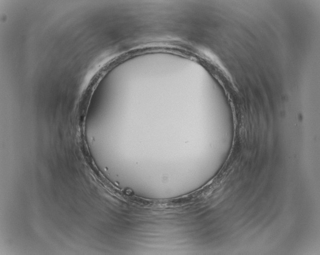 X0000077331360200611171757