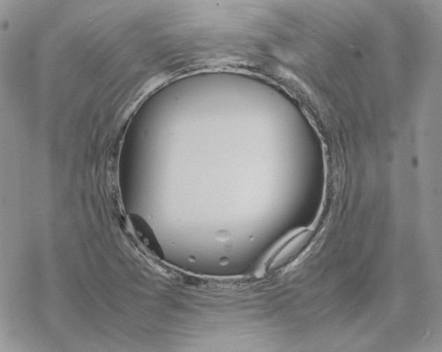 X0000077331361200611171757