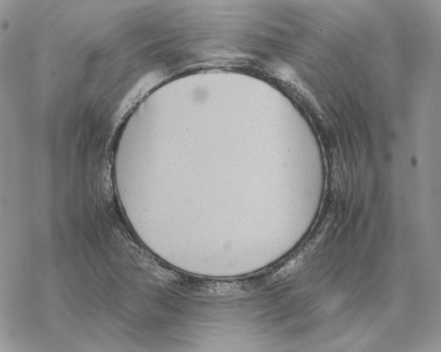 X0000077331362200611171757