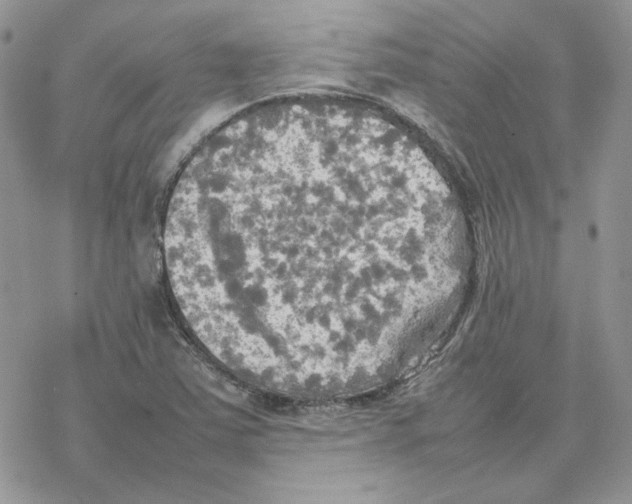 X0000077331363200611171757