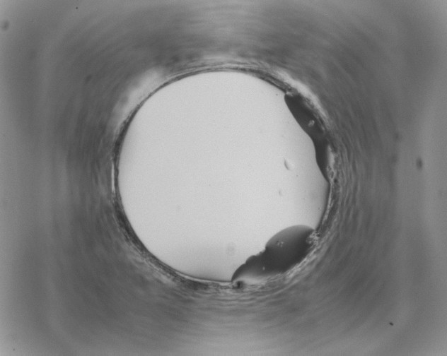 X0000077331365200611171757