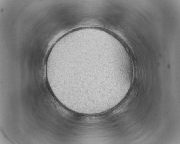 X0000077331366200611171757