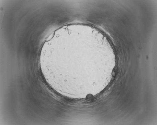 X0000077331367200611171757