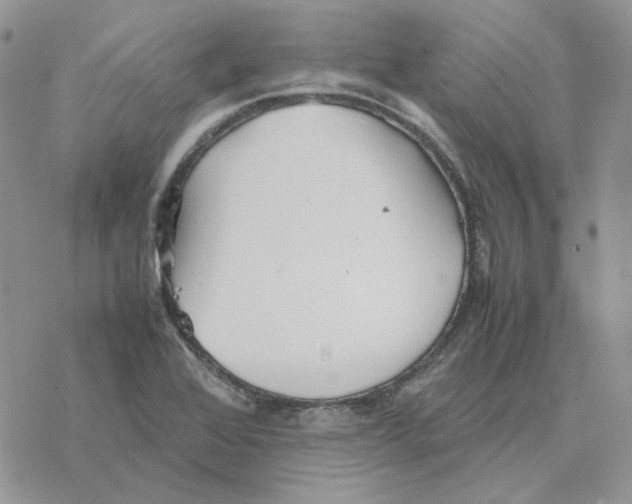 X0000077331368200611171757