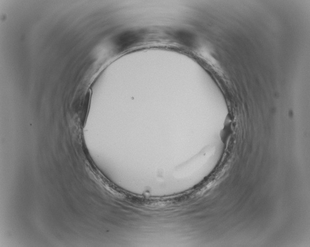 X0000077331369200611171757