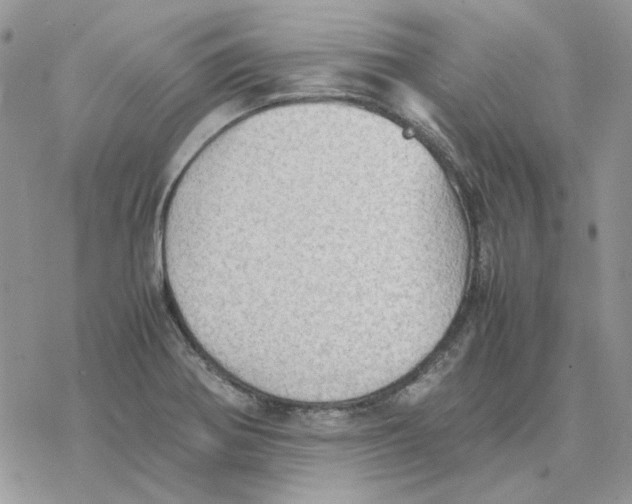 X0000077331370200611171757