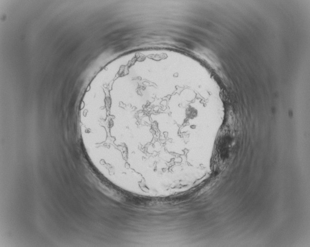 X0000077331371200611171757