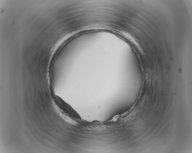 X0000077331372200611171757