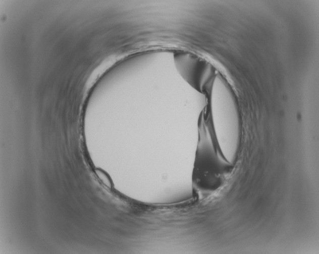 X0000077331373200611171757