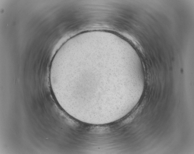 X0000077331374200611171757