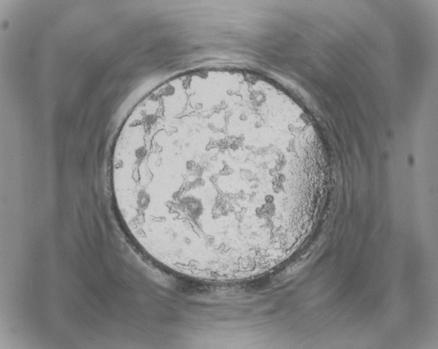 X0000077331375200611171757