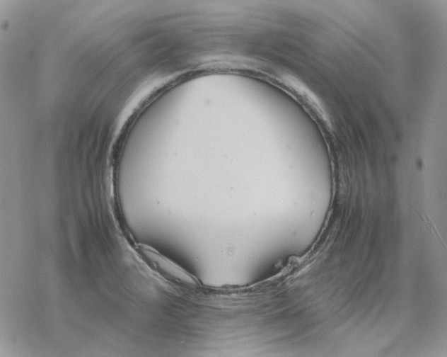 X0000077331376200611171757