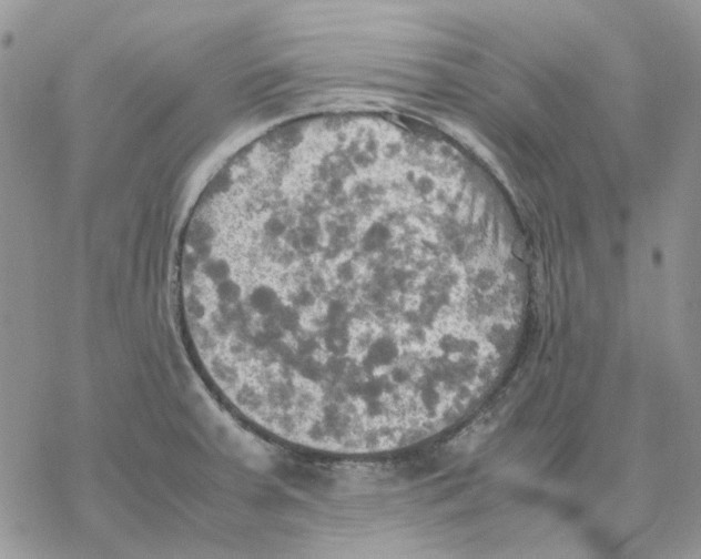 X0000077331379200611171756