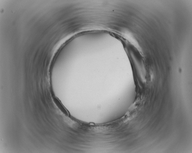 X0000077331380200611171756