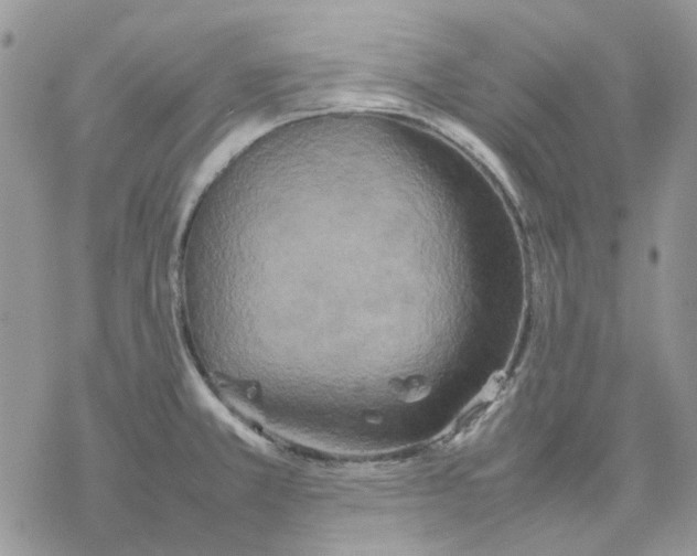 X0000077331381200611171756