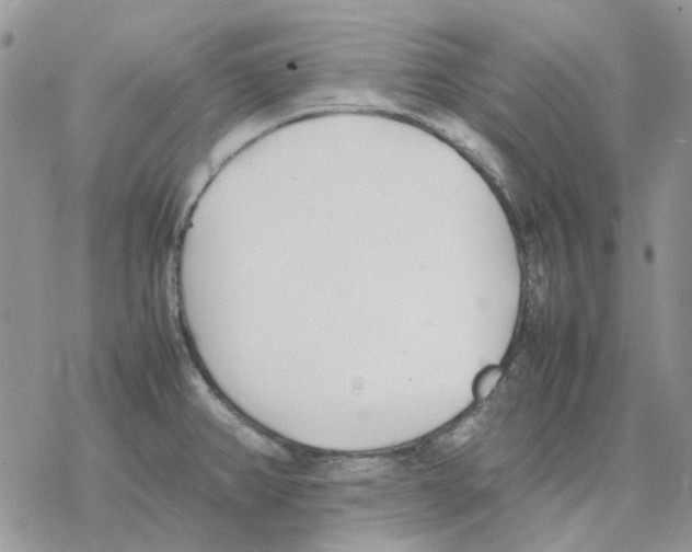 X0000077331382200611171756