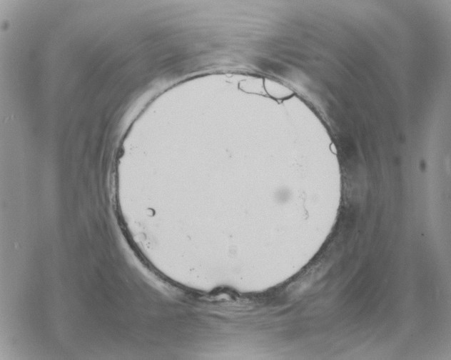 X0000077331383200611171756