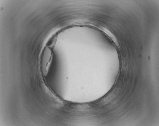 X0000077331384200611171756