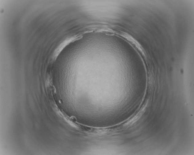 X0000077331385200611171756